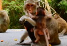 Anna Is Seen Interacting with Baby Tilly During a Loud Vocal Moment